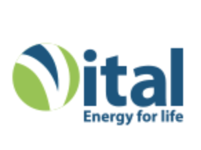 Vital Energy